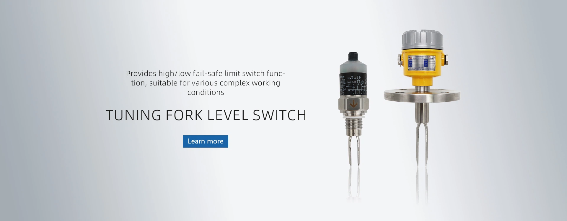 Tuning fork level switch